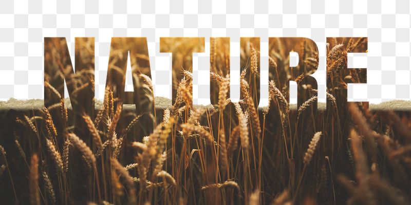 Nature word png border sticker, | Free PNG - rawpixel