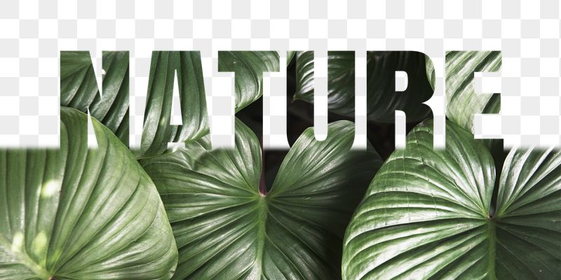 Nature word png border sticker, | Free PNG - rawpixel