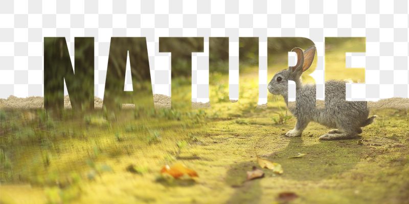 Nature word png border sticker, | Free PNG - rawpixel