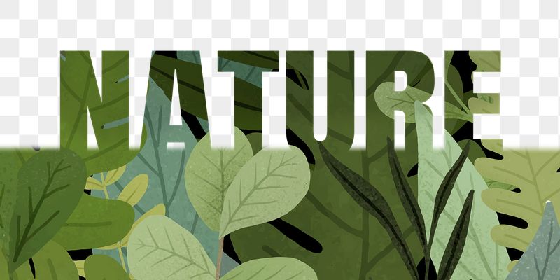 Nature word png border sticker, | Free PNG - rawpixel