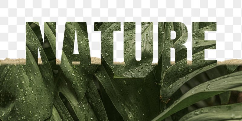 Nature word png border sticker, | Free PNG - rawpixel