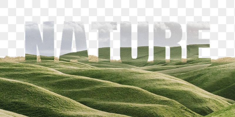Nature word png border sticker, | Free PNG - rawpixel