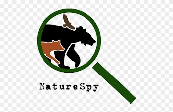 Naturespy Is A Non-profit Organisation That Aims To - Bear With Me Icon Motivational Sign - Aluminum Metal,