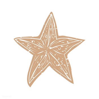 Nautical doodle | Free stock vector - 381484