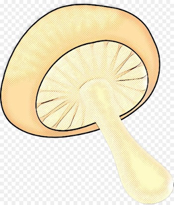 Nautiluses, Line, Invertebrate, Mushroom PNG
