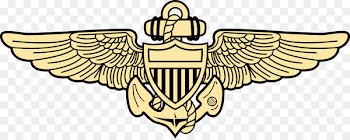 Naval aviation 0506147919 United States Naval Aviator Navy Naval flight officer - army 