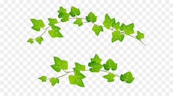 Naver Blog Leaf Plant stem Portable Network Graphics - hojas 