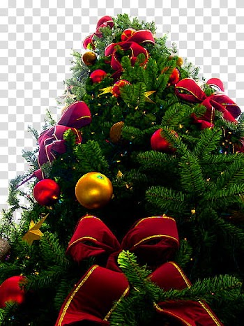 Navidad, Christmas tree with ribbons transparent background PNG clipart