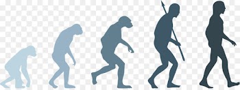 Neandertal Human evolution Homo sapiens - evolution 