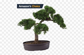 Nearly Natural Artificial Silk Plant, Cedar Bonsai - Make An Artificial Bonsai Tree