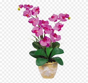 Nearly Natural Silk Phalaenopsis Orchid Arrangement, - Nearly Natural Double Stem Phalaenopsis Silk Orchid