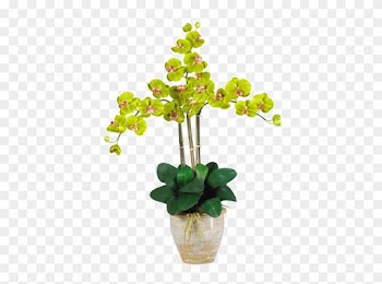 Nearly Natural Triple Stem Phalaenopsis Orchid Silk - Nearly Natural Triple Phalaenopsis Silk Orchid Flowers