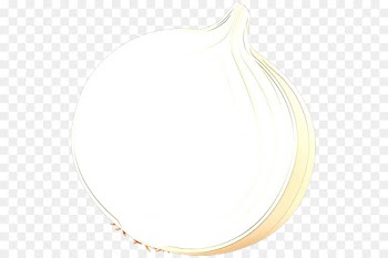 necklace fashion accessory jewellery neck
