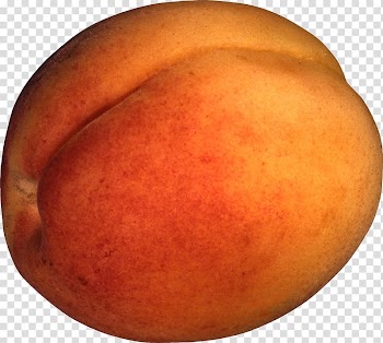 Nectarine Fruit , Peach transparent background PNG clipart