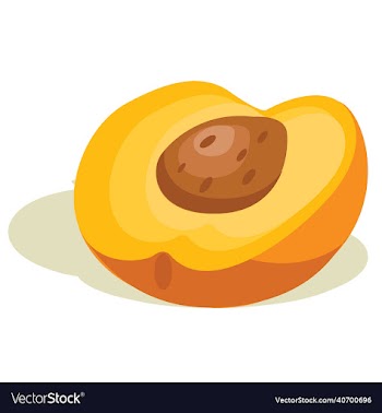 nectarine sliced fruit