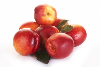 nectarines isolated on white