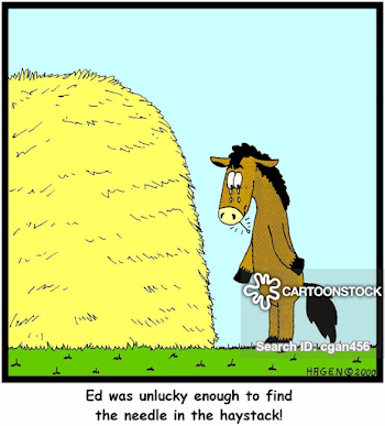 Needle In The Haystack Cartoons and Comics - funny pictures from ...