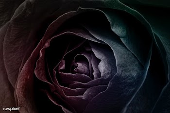 Negative effect floral patterned background | Free  illustration - 2349783