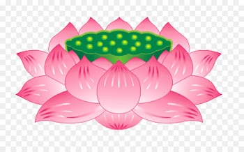Nelumbo nucifera Buddhism Buddhahood Bodhisattva Guanyin - Vector lotus seat 