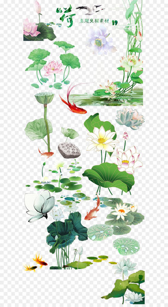 Nelumbo nucifera Download - Free hand-painted lotus matting material China Wind 