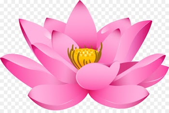 Nelumbo nucifera Drawing Padma - Vector painted pink lotus 