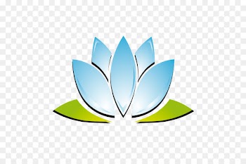 Nelumbo nucifera Drawing Pygmy water-lily Water lilies - lottery 
