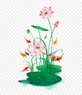 Nelumbo nucifera Floral design Download - Beautiful hand-painted lotus 