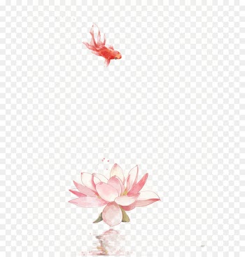 Nelumbo nucifera Flower Water lily Drawing Chinese art - Lotus goldfish 