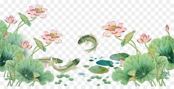 Nelumbo nucifera - Hand-painted lotus decorative pattern 
