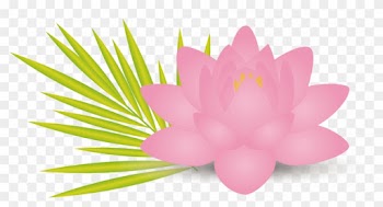 Nelumbo Nucifera Lotus Effect Flower Leaf Euclidean - Nelumbo Nucifera Lotus Effect Flower Leaf Euclidean