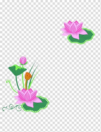 Nelumbo nucifera , Lotus printing frame transparent background PNG clipart