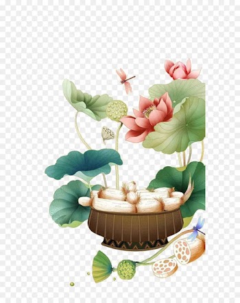 Nelumbo nucifera Lotus root - Chinese style lotus creative calendar 