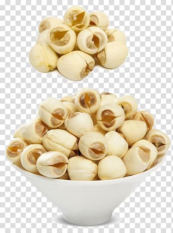 Nelumbo nucifera Lotus seed Bleach, Blank white lotus seeds transparent background PNG clipart