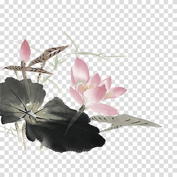Nelumbo nucifera , Lotus transparent background PNG clipart