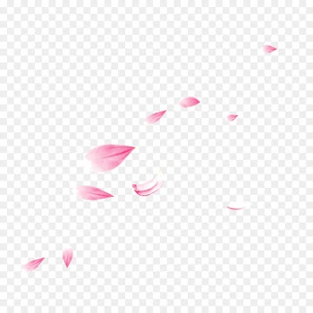 Nelumbo nucifera Petal Flower - Lotus Creative 