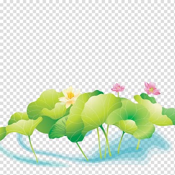 Nelumbo nucifera Pond, Creative Flower,Lotus transparent background PNG clipart