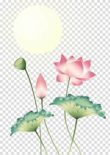 Nelumbo nucifera Raster graphics u84eeu306eu8449, Mid-Autumn Festival moon lotus element transparent background PNG clipart