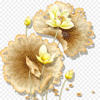 Nelumbo nucifera Wall painting - Lotus 