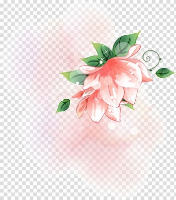 Nelumbo nucifera Watercolor painting , Lotus transparent background PNG clipart