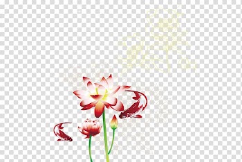 Nelumbo nucifera Watercolor painting, lotus transparent background PNG clipart