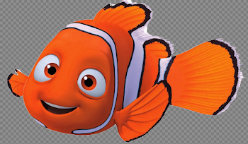 Nemo Close Up transparent PNG - StickPNG