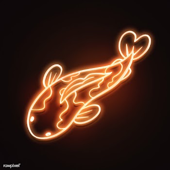 Neon Koi carp fish sticker on black background | Free  illustration - 2356853