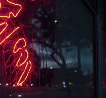 Neon Light Reflection On Window
