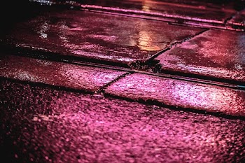 Neon Light Shining On Road