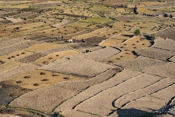 Nepal hillside background, farming and | Free Photo - rawpixel