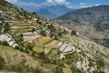 Nepal hillside background, farming and | Free Photo - rawpixel