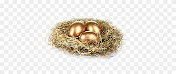 Nest Golden Eggs Png Photo - Make Money From Freelance Writing: Teach Yourself