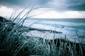 Nestled on Ten Mile Beach between Woody Head and Evens Head lies Black Rocks. A unique getaway distinguished by the crumbly Coffee Rock, giving the park its name.