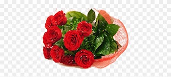 Net Resimleri Gifleri - Beautiful Rose Bouquet Flowers