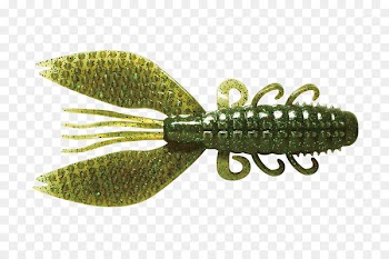 NetBait Paca Chunk Shrimp Fishing bait - craw pennant 